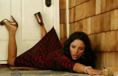 Julia Louis Dreyfus
