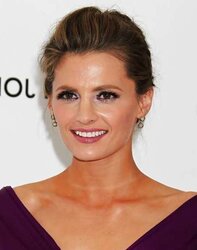 Stana Katic