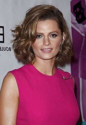 Stana Katic