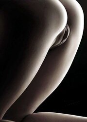 Artistic Nudes Vol