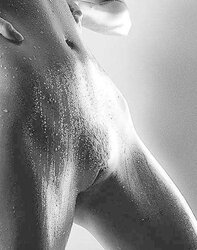 Artistic Nudes Vol