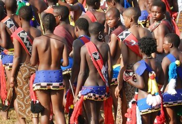 Tribal chicks