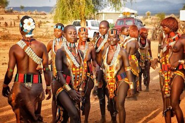 Tribal chicks