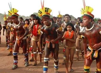 Tribal chicks