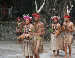 Tribal chicks