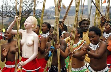 Tribal chicks