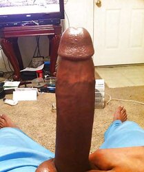 Fav selfshot big black cock