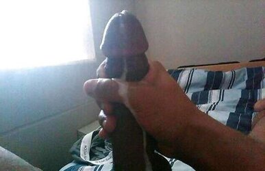 Fav selfshot big black cock