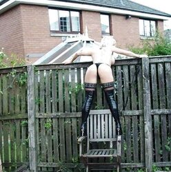 Stockings or Tights