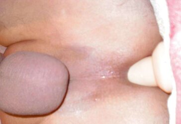 Fake Penis and Assfuck Ass-Plug