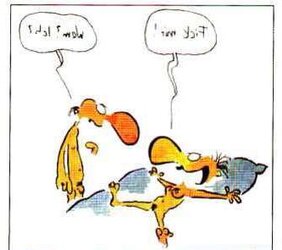 Wundertuete