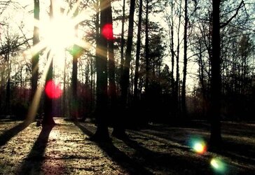 Experiments