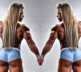 Damsel BodyBuilding Bun Idolize