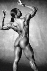 Damsel BodyBuilding Bun Idolize