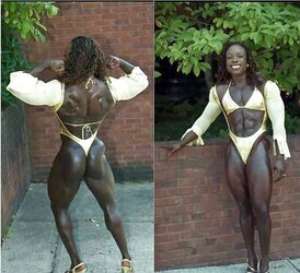 Damsel BodyBuilding Bun Idolize