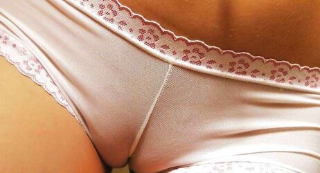 For The Enjoy Of Cameltoes