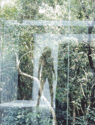Bridget Maasland