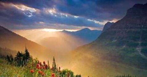 Wonderfull World