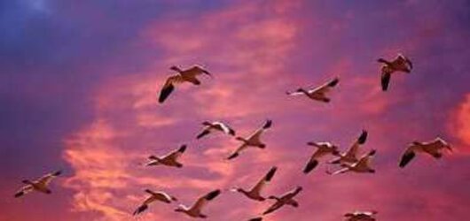 Wonderfull World