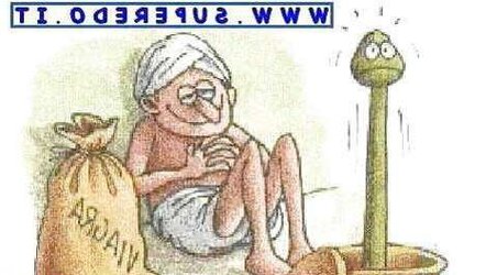 Funny romp photos