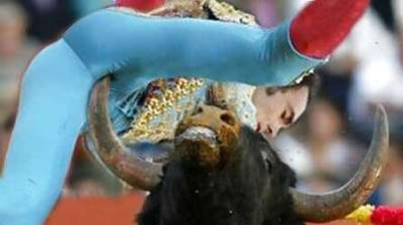 Funny romp photos