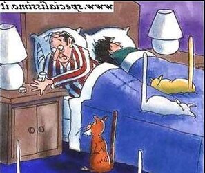 Funny romp photos