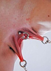 Pierced Puffies and Coochie