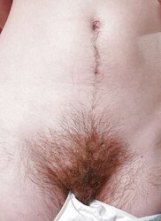 More wooly vulvas, pits, gams, backsides and treasure trails...