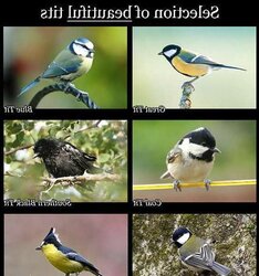 Warm Funny Images