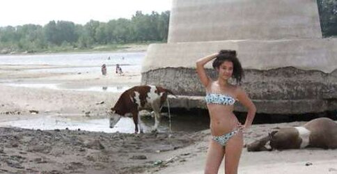 Warm Funny Images