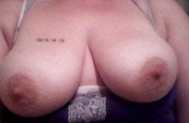 PLUMPER Bevy #3 (Donks