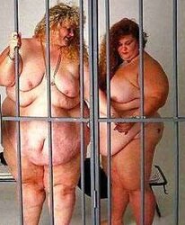 Many BBWs and SSBBWs