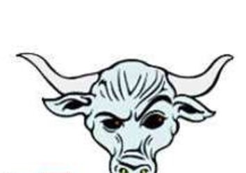Cowgirl Toons