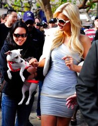 Paris Hilton mega bevy