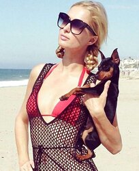 Paris Hilton mega bevy