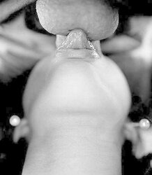 Gobbling ball-sac