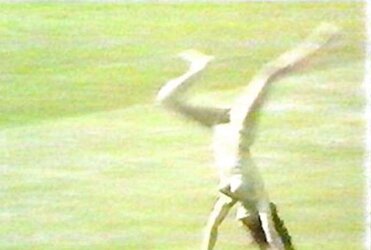 Notorious Streaker four Sheila Nicholls