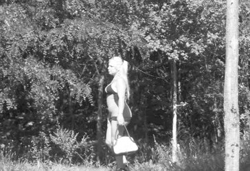 COMPILATION PARIS PUBLIC FLEDGLING