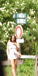 COMPILATION PARIS PUBLIC FLEDGLING