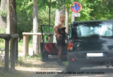 COMPILATION PARIS PUBLIC FLEDGLING