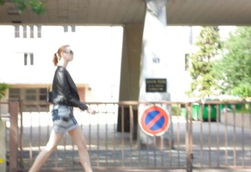COMPILATION PARIS PUBLIC FLEDGLING