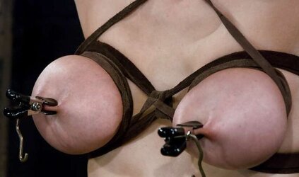 Aus dem net Nippel mit Klammern und Gewichten