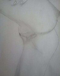 Some drawings of mine