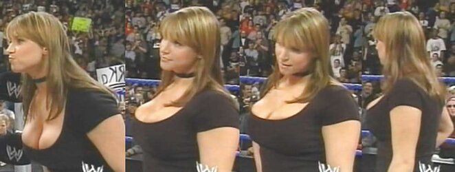Stephanie McMahon WWE Remarkable Diva Mummy