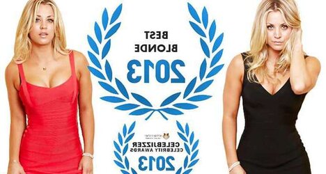 Celebrity Awards 2013 - Winners
