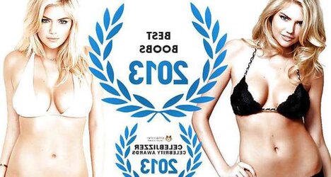 Celebrity Awards 2013 - Winners