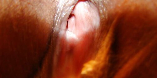 Pretty moist pussy