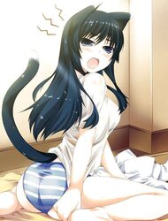 My fresh Neko dolls !