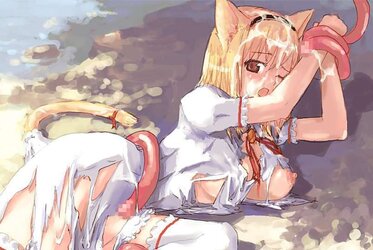 My fresh Neko dolls !
