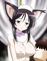 My fresh Neko dolls !